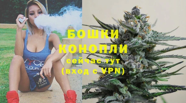 ГАЛЛЮЦИНОГЕННЫЕ ГРИБЫ Краснослободск