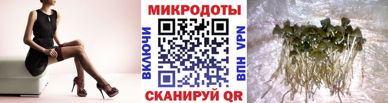 Купить закладки Темников Псилоцибиновые грибы мухоморы